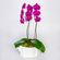 Arranjo-em-vaso-de-ceramica-com-orquideas-phalaenopsis-cascata-pink--1-