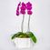 Arranjo-em-vaso-de-ceramica-com-orquideas-phalaenopsis-cascata-pink--2-