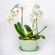 Arranjo-em-vaso-com-orquideas-phalaenopsis-cascata-brancas--1-