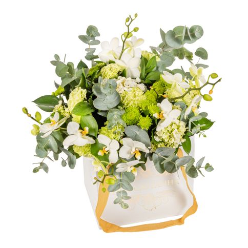 Arranjo-Flowers-Bag---Green--2-